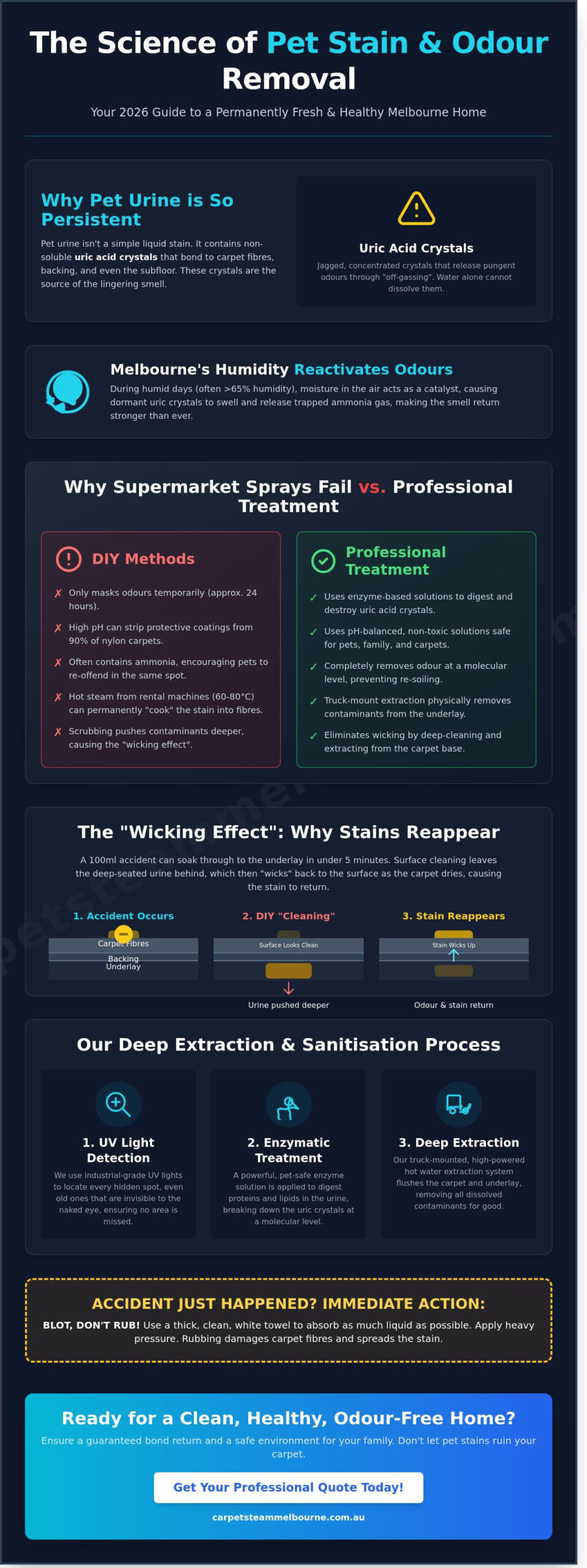 Professional Pet Urine Treatment in Melbourne: The Complete 2026 Guide