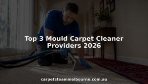 Top 3 Mould Carpet Cleaner Providers 2026